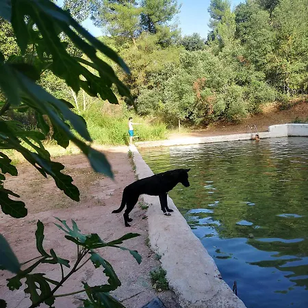 Hostel La Rejertilla